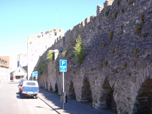 Visby city wall/fortress.